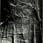 Black and white photo of a Maya stone stela face lying on the ground, it depicts a man in elaborate regalia, but the stela has clearly been broken into several large and irregularly shaped pieces.