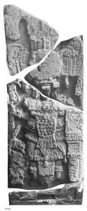 Black and white photograph of a Maya stela in four pieces. It depicts a standing man in regalia. The headdress in question is the top fragment.